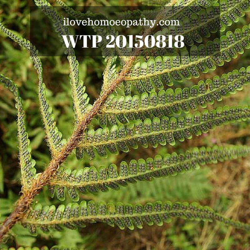WTP 20150819