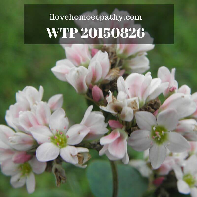 WTP 20150826