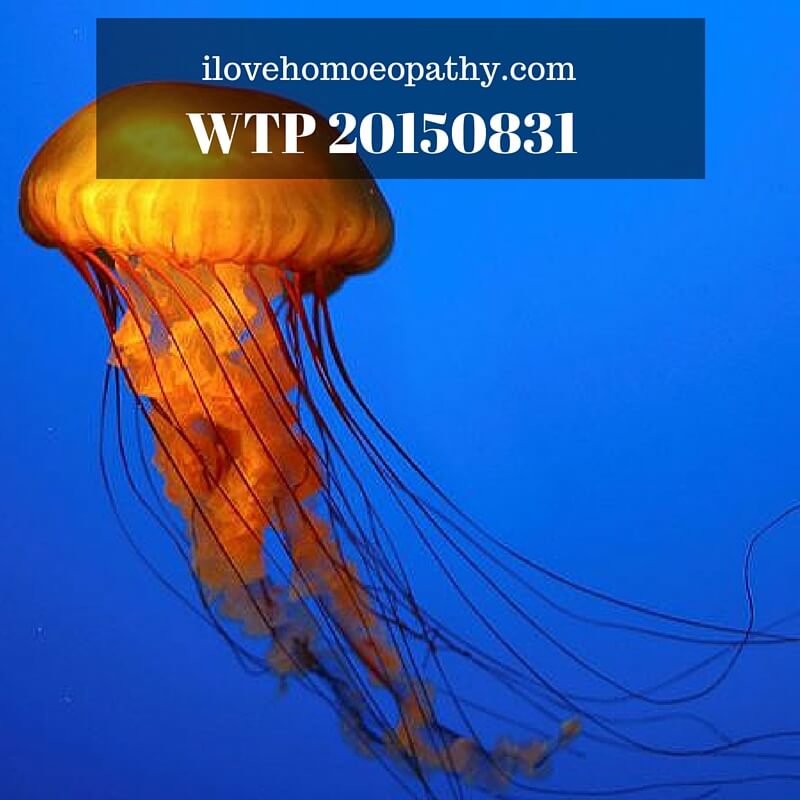 WTR 20150831