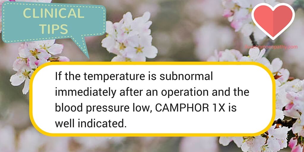 CAMPHOR