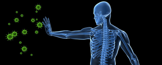 Supporting the Immune System