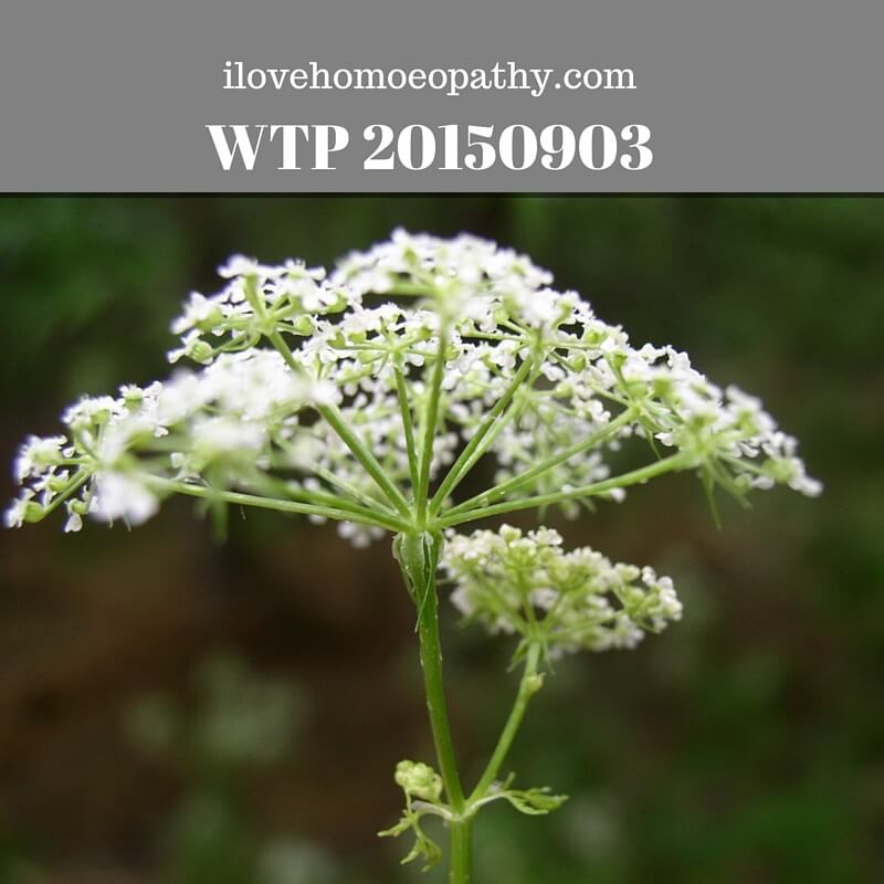 WTP 20150903