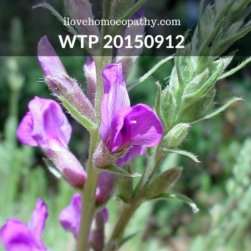 WTP 20150912