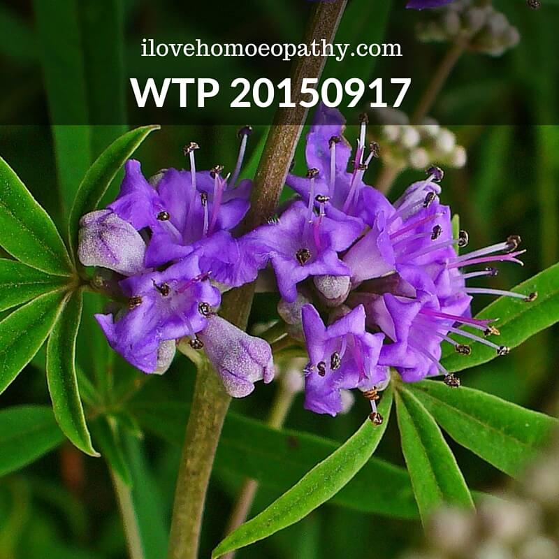 WTP 20150917