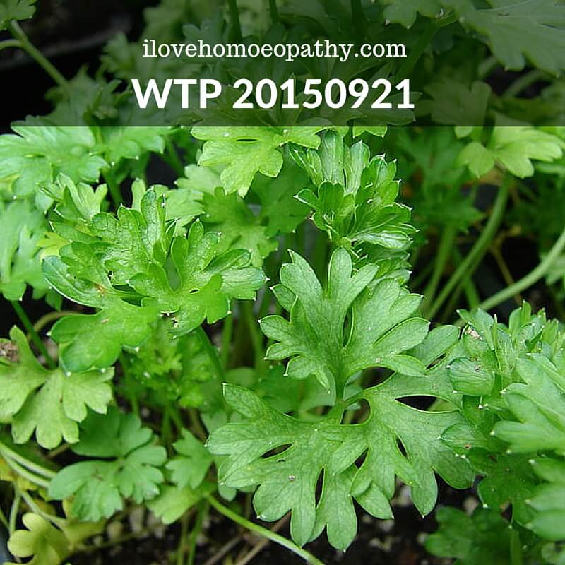 WTP 20150921