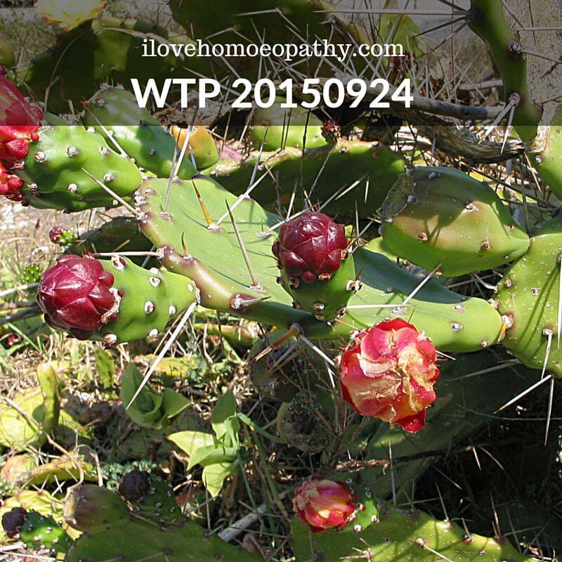 WTP 20150924