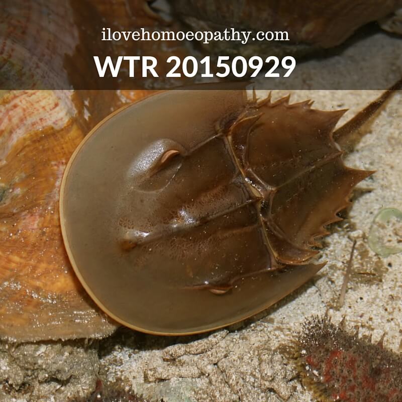 WTR 20150929