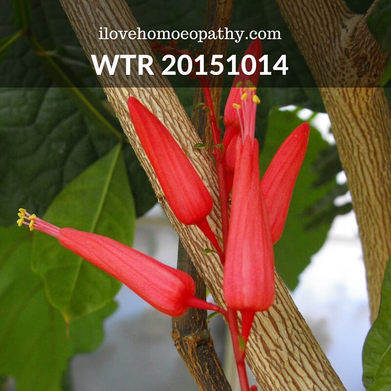 WTP 20151014