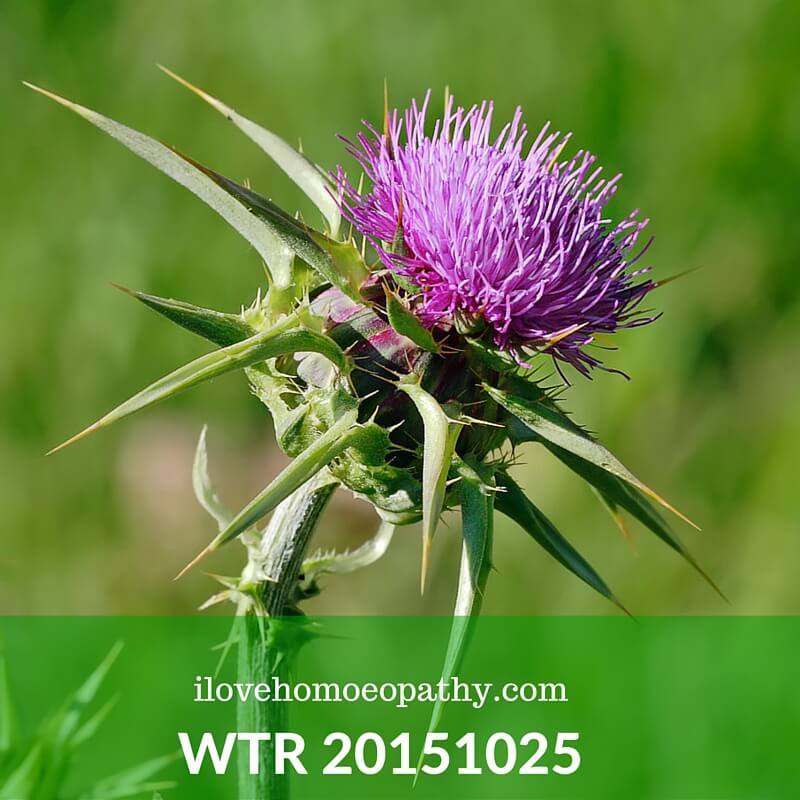WTP 201510