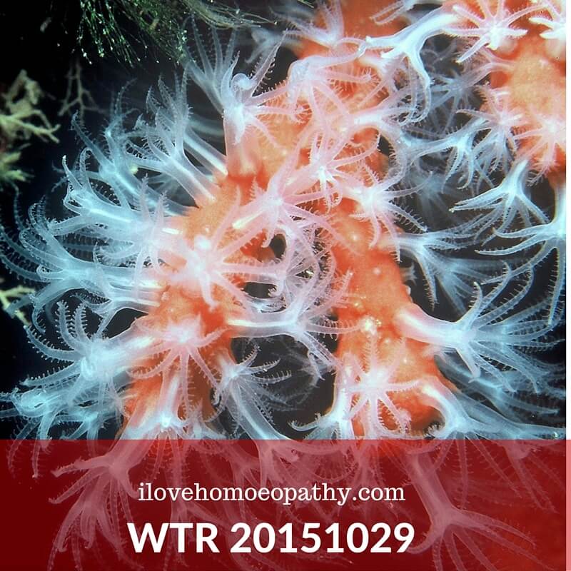 WTP 20151029