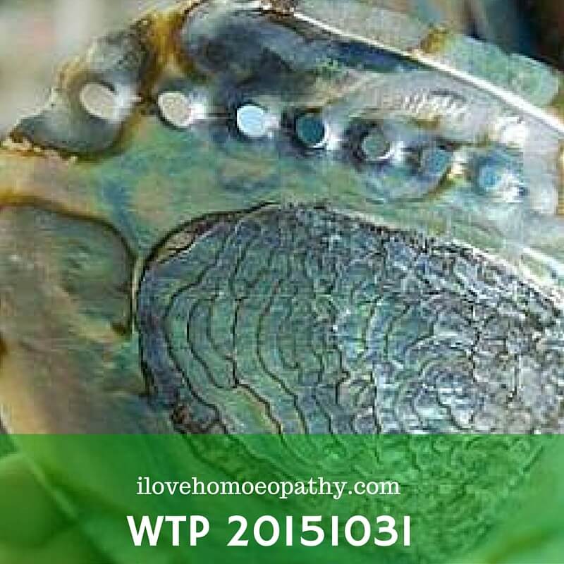 WTR 20151031