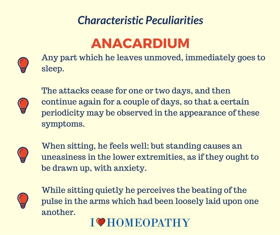 ANACARDIUM