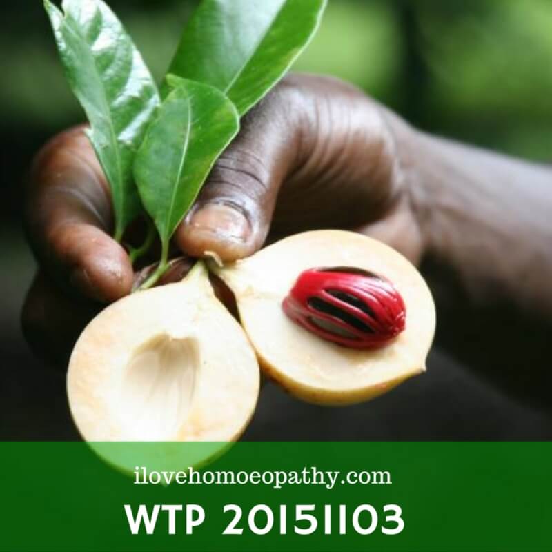WTP 20151103