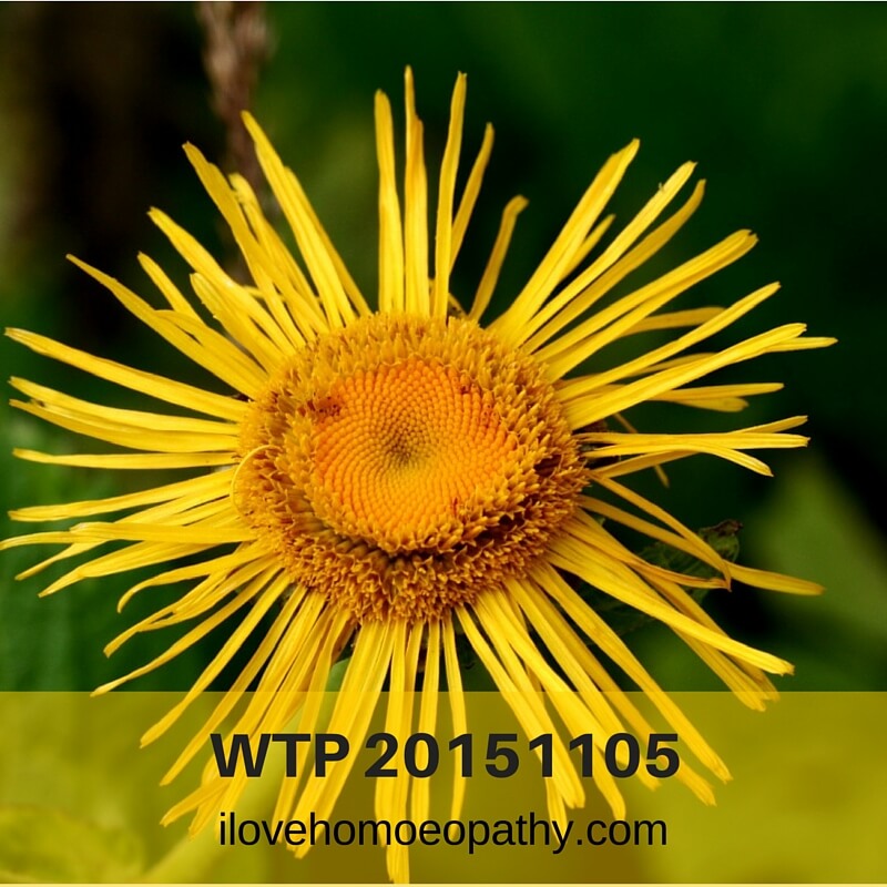 WTP 20151105