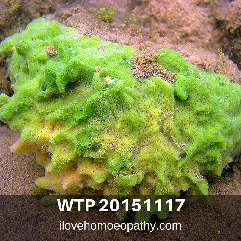 WTP 20151122