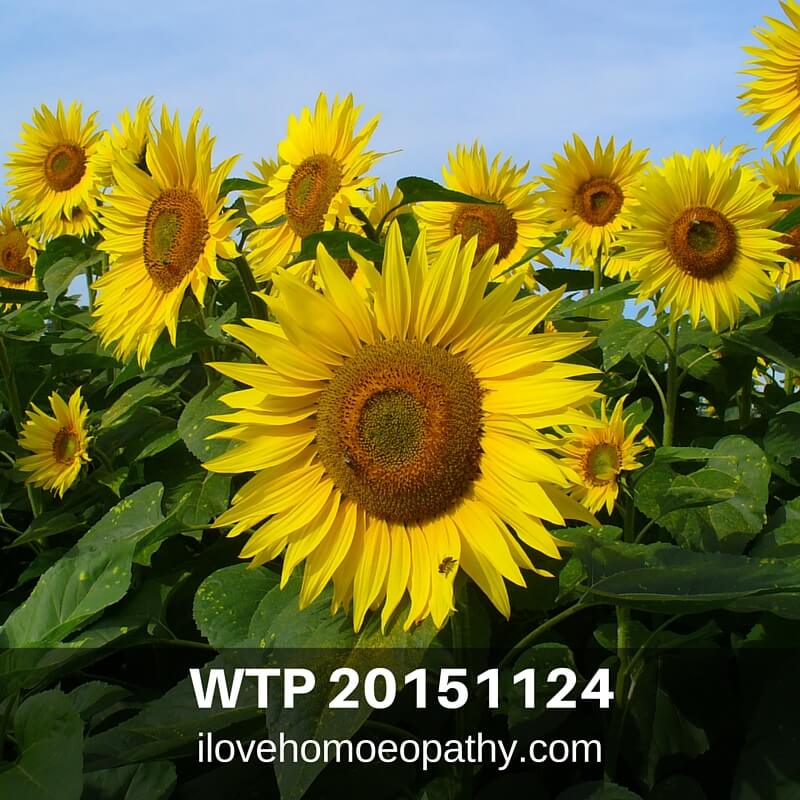 WTP 20151124