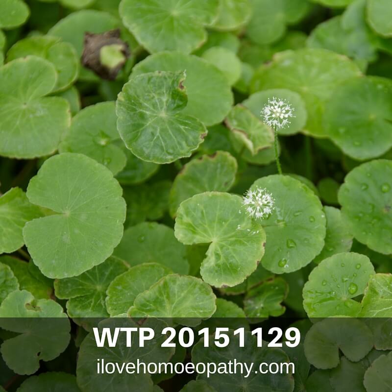 WTP 20151129