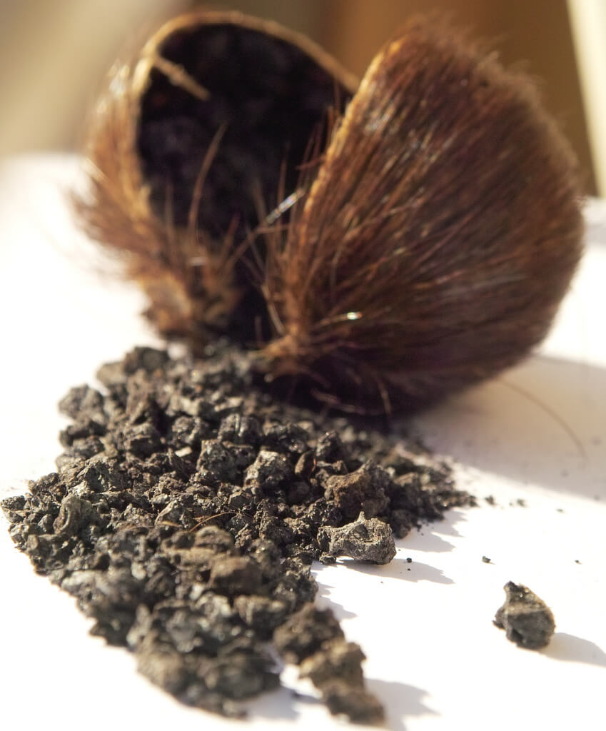 MOSCHUS