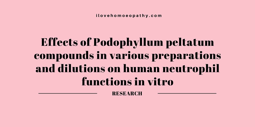 Effects of Podophyllum peltatum compounds in various preparations and dilutions on human neutrophil functions in vitro