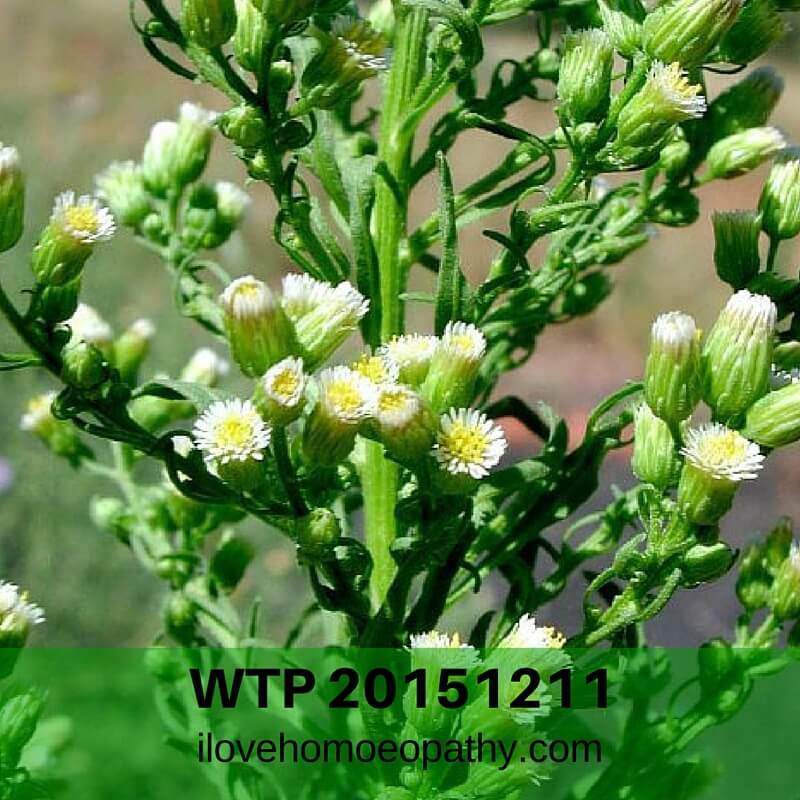 WTP 20151211