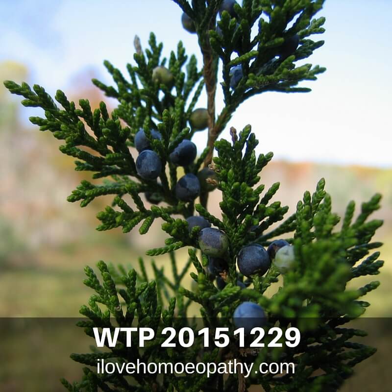WTP 20151229