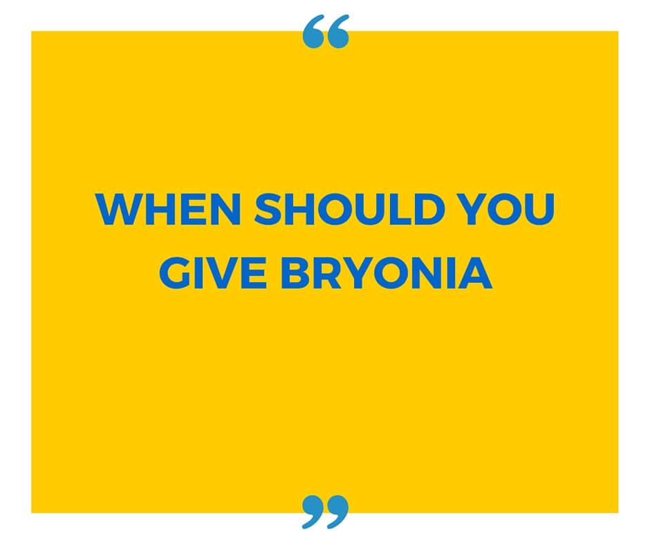 BRYONIA