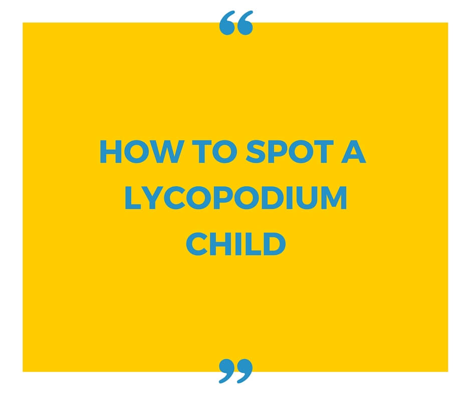 LYCOPODIUM
