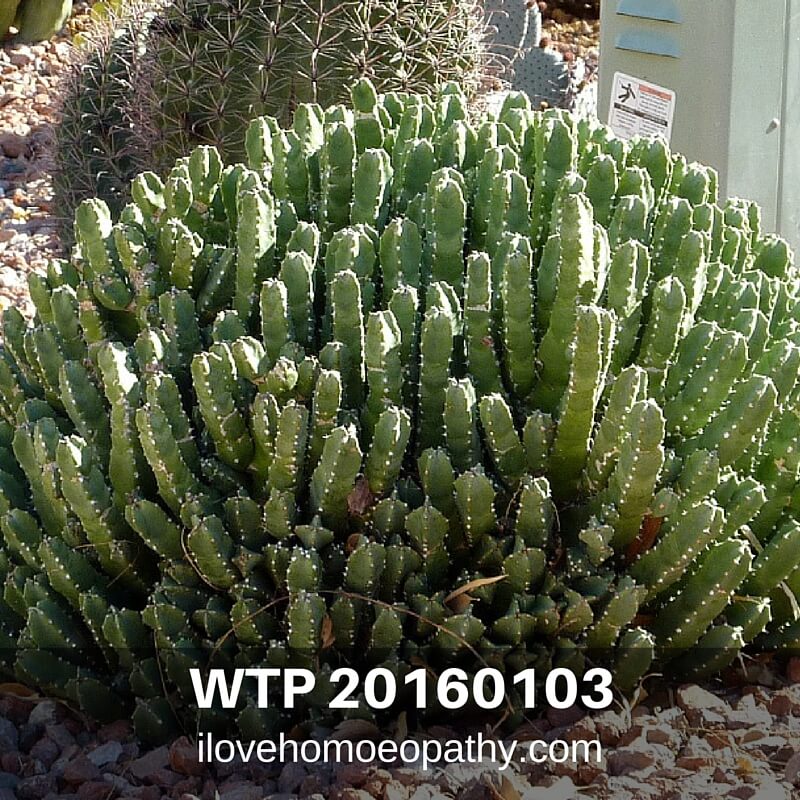 20160103