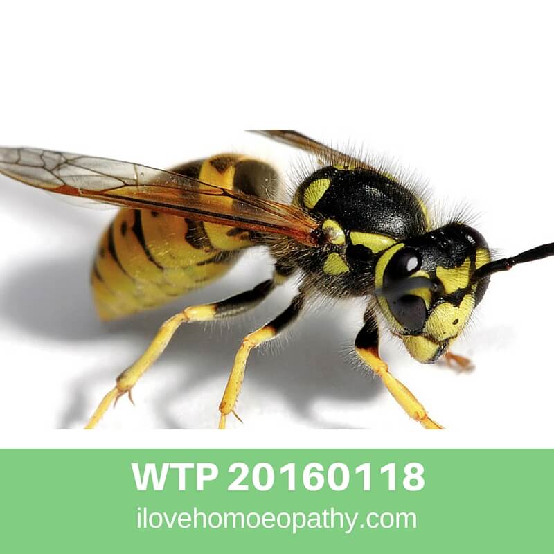 WTR 20160118