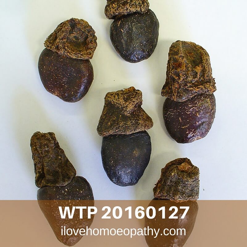 WTP 20160127