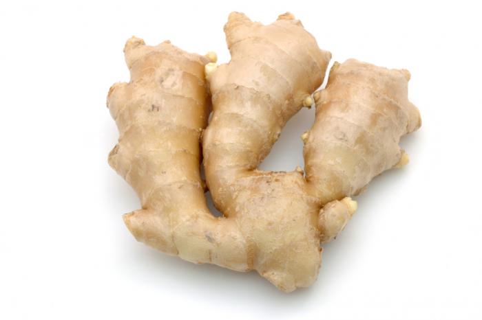ZINGIBER OFFICINALIS