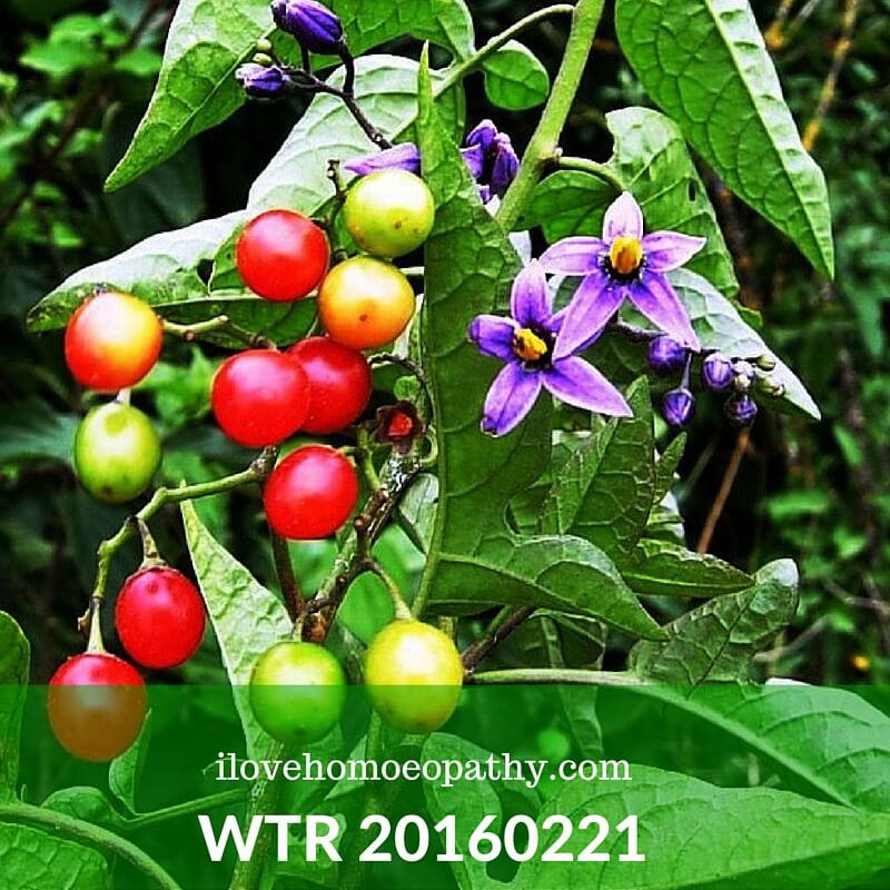 WTP 20160221