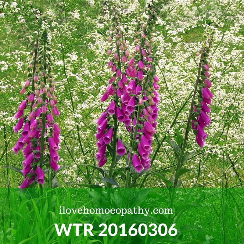 WTP 20160306