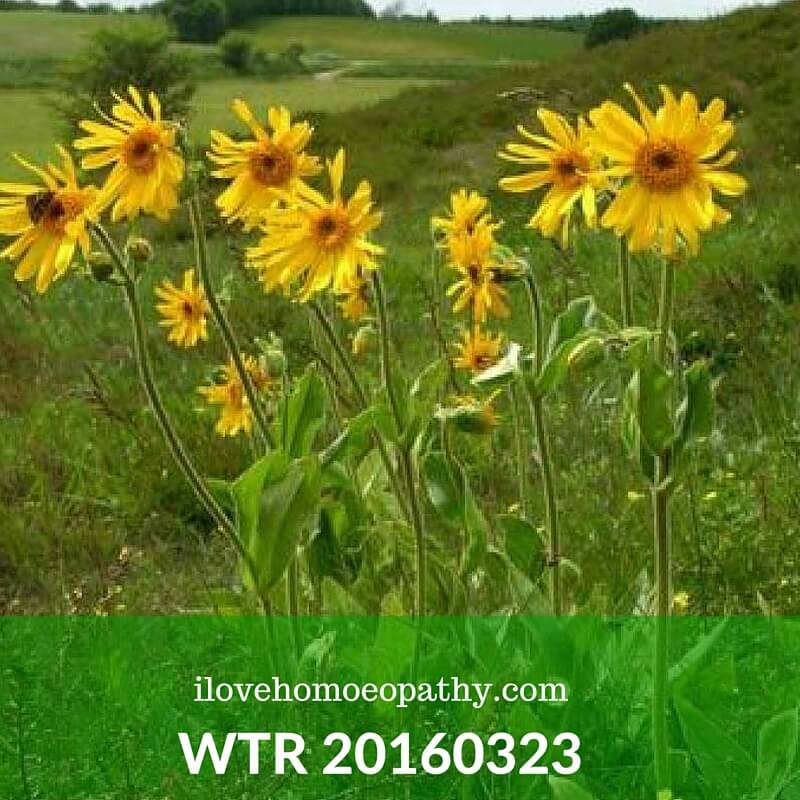 WTP 20160323