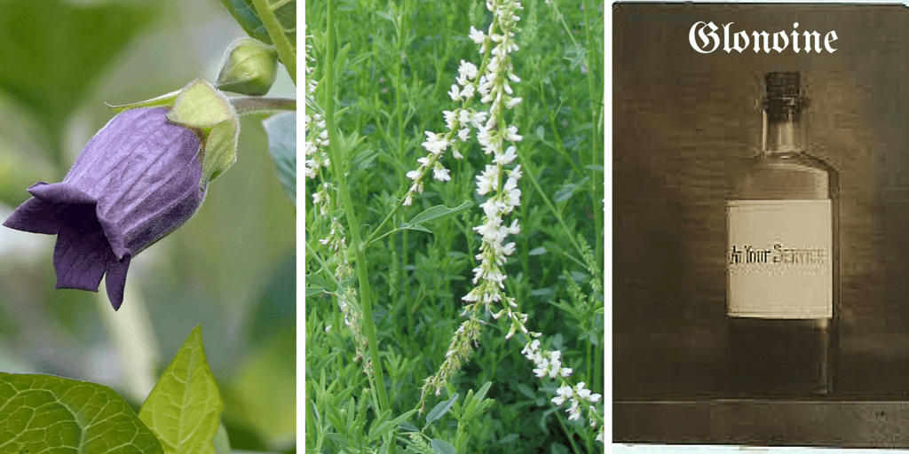 Differentiation between Melilotus, Glonoine and Belladonna.