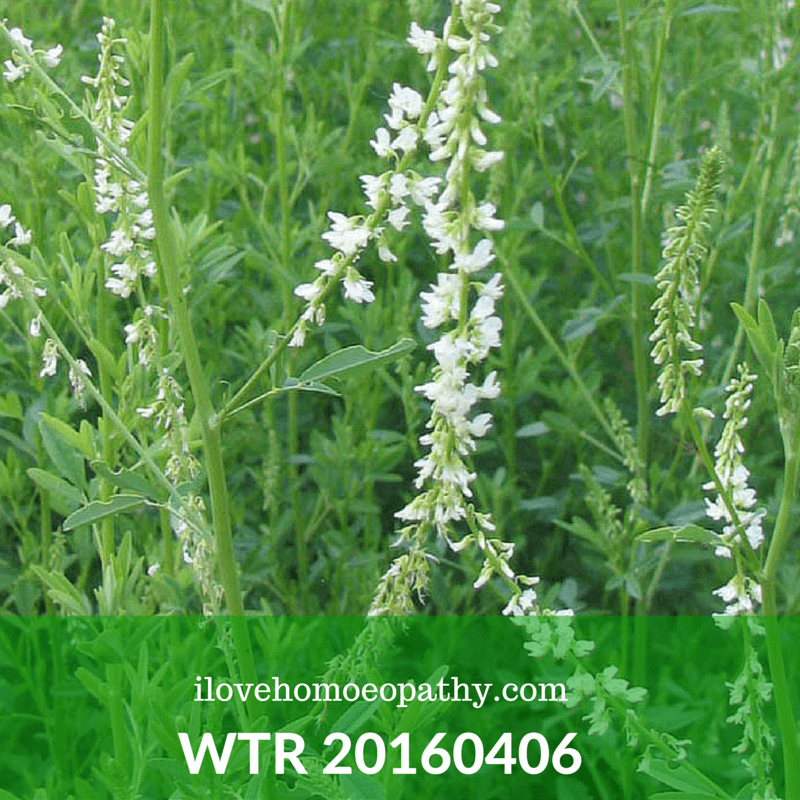 WTP 20160406
