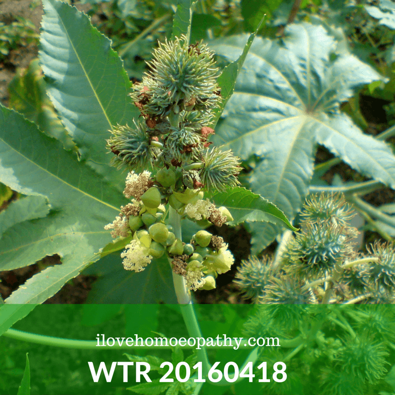WTP 20160418