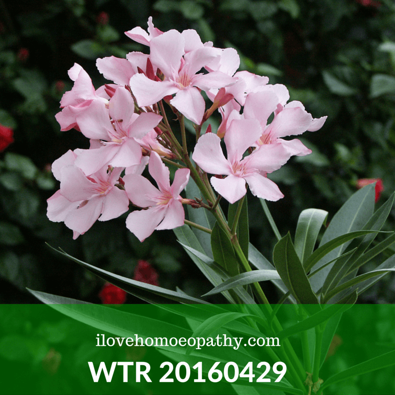 WTP 20160429