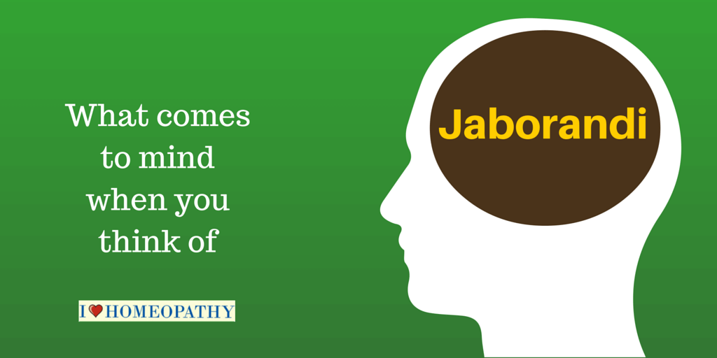Jaborandi