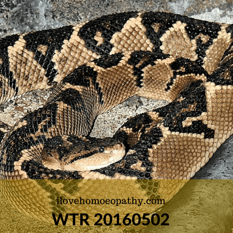 WTP 20160502