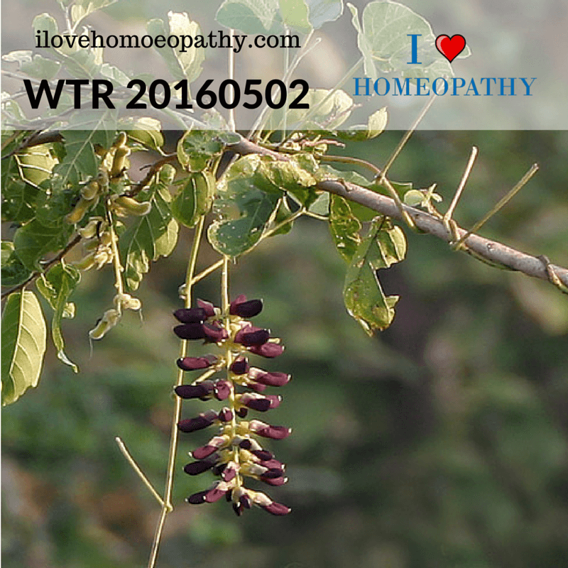 WTP 20160514