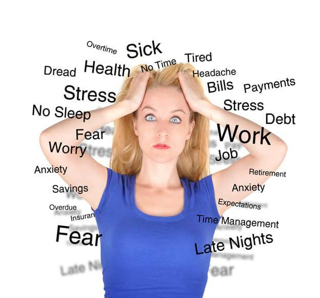 The Anatomy of Stress