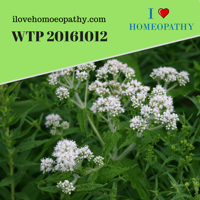 WTP 20161012