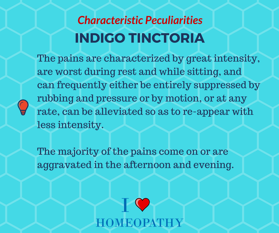 INDIGO TINCTORIA