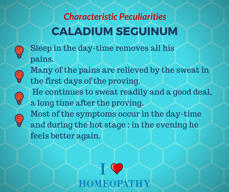 CALADIUM SEGUINUM