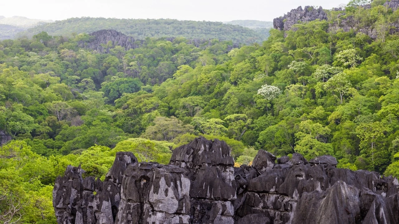 Ankarana Special Reserve: Stone Labyrinth and Subterranean Kingdom — photo 1
