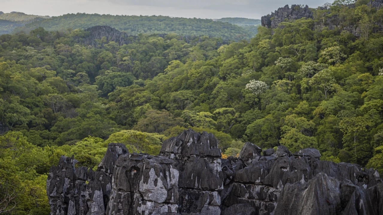Ankarana Special Reserve: Stone Labyrinth and Subterranean Kingdom — photo 2