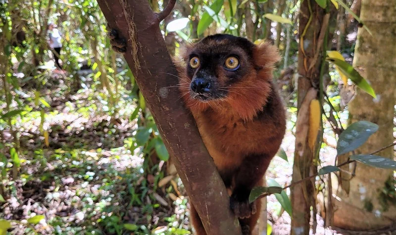 Palmarium Reserve