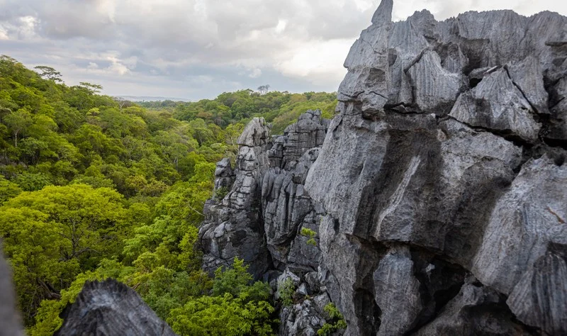 Ankarana National Park