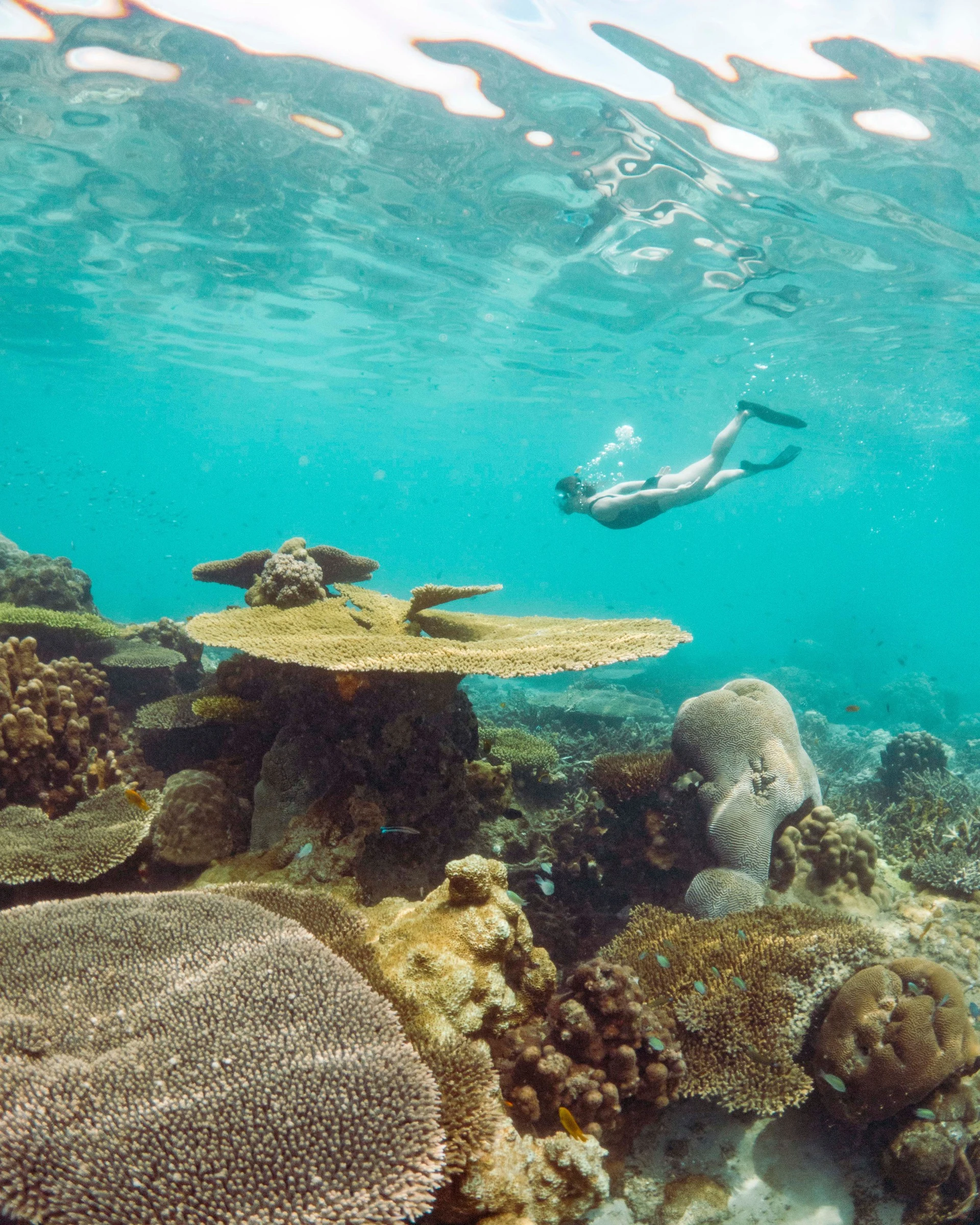 Tsara Komba by Time + Tide